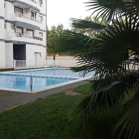 Appartement Avec Piscine San Vicente Raspeig Exteriör bild